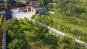 Casa cu piscina de vanzare | 3.300 mp teren | Urlati - Prahova - imagine 18