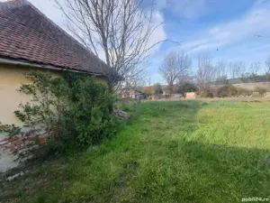 Teren de vanzare cu casa,comuna Buteni,jud Arad