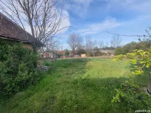 Teren de vanzare cu casa,comuna Buteni,jud Arad - imagine 5