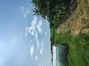 Gospodărie de vânzare Calui jud. Olt - imagine 10