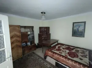 Gospodărie de vânzare Calui jud. Olt - imagine 7