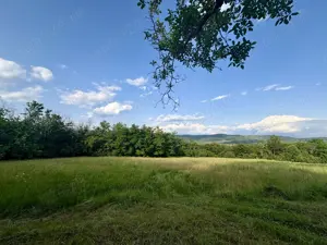 Vând teren intravilan în zona Valea Brazilor (Arges)
