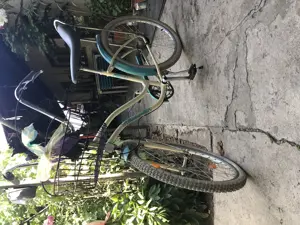Bicicleta pegas damă