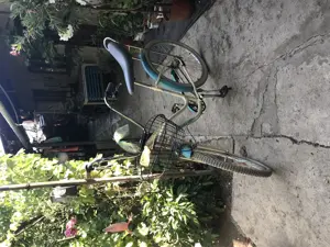 Bicicleta pegas damă - imagine 3