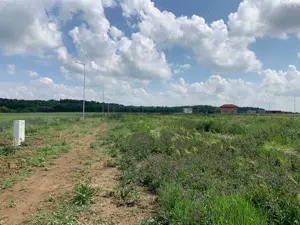 Teren intravilan Ghiroda, Bistra - imagine 4