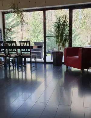 Vila Baneasa la liziera padurii, zona Liceul Francez, Sector 1, Bucuresti