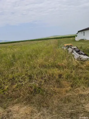 Vând loc de casă în Com. Tîrnova, Jud. Arad - imagine 2