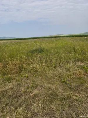 Vând loc de casă în Com. Tîrnova, Jud. Arad - imagine 3