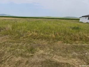 Vând loc de casă în Com. Tîrnova, Jud. Arad - imagine 5