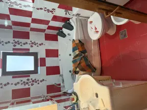 Vând casă bătrânească renovată  - imagine 6