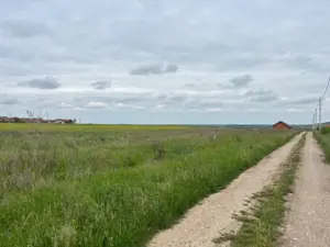 Teren 500 mp Paleu - imagine 3