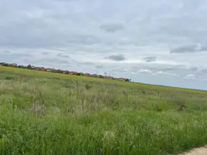 Teren 500 mp Paleu - imagine 2