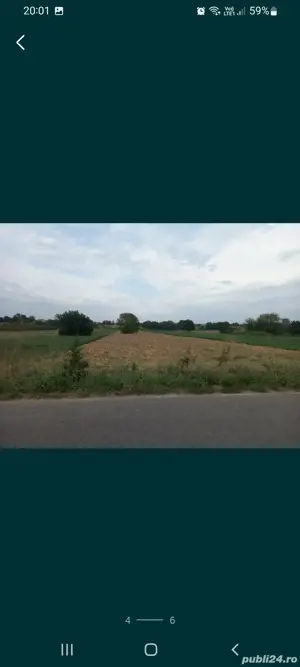 teren jilava steaua sudului