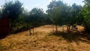 Casă individuală Mehala  - imagine 9