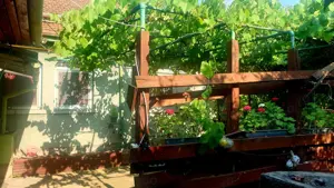 Casă individuală Mehala