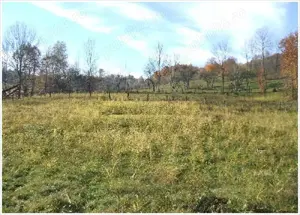 Vanzare teren foarte avantajos - imagine 2