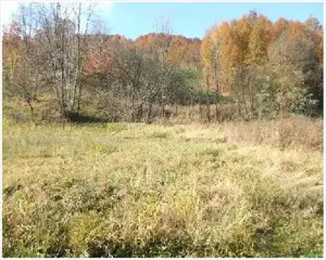 Vanzare teren foarte avantajos - imagine 5