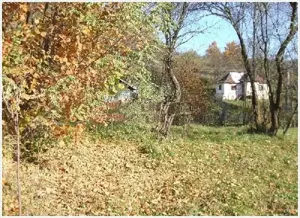 Vanzare teren foarte avantajos - imagine 6