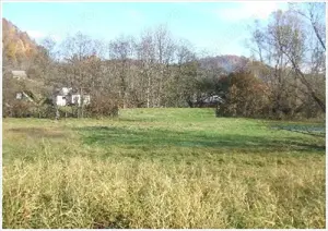 Vanzare teren foarte avantajos - imagine 3