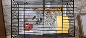 Vând cusca de hamster - imagine 2 Vând cusca de hamster - imagine 2