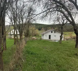Casa (+ evtl inca un teren) de vanzare Buza, jud. Cluj