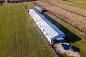 Hala de productie Ribita, jud. Hunedoara