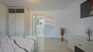 Proprietate ideala pentru investitie cu teren 825 mp str. Aurel Vlaicu - imagine 14