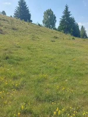 Vand teren intravilan.  - imagine 6