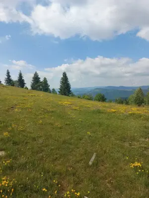 Vand teren intravilan.  - imagine 5