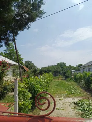 Vand casă amara - imagine 10