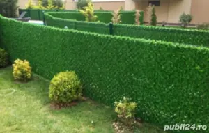 Vand Afacere - imagine 4