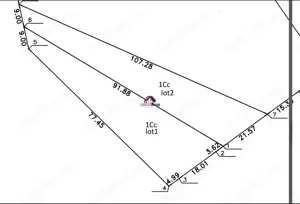 Teren Snagov Lac 1318 mp