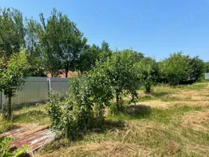 Casa de vânzare Bălănești,Gorj - imagine 4 Casa de vânzare Bălănești,Gorj - imagine 4