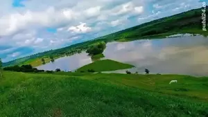 Vand casa 22 000 euro negociabil. - imagine 8