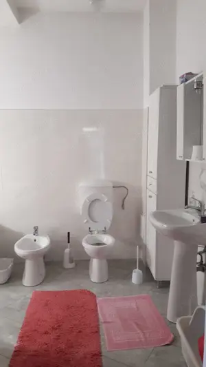 Doua Cladiri total 700mp linga Centrul Civic Brasov, Lot 1000mp pe colt - imagine 17