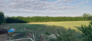 Teren extravilan în Ivești    - imagine 3