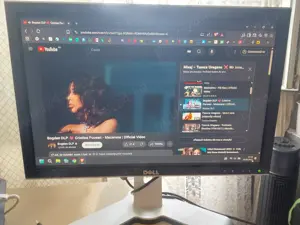 Monitor Dell functional