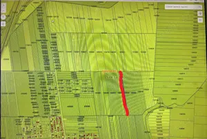 Teren Sanandrei iesire spre Carani pe dreapta - 20,000 mp