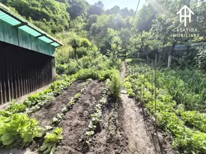 Casă de vânzare în Nădrag, județul Timiș - imagine 11