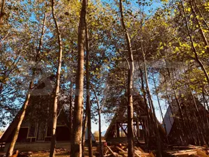 Pachet de 3 case in zona Tohanita, case tip A-frame  , 400 mp teren fiecare  - imagine 3