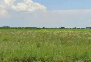 Teren Costestii din Vale, ID: R2582235 - imagine 8