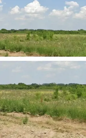 Teren Costestii din Vale, ID: R2582235 - imagine 6