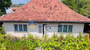 Casa tradiționala Bodesti