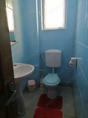 Vila S+P+M Ultracentral, zona rezidentiala - imagine 17 Vila S+P+M Ultracentral, zona rezidentiala - imagine 17