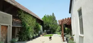 Liniste si placere    - imagine 7