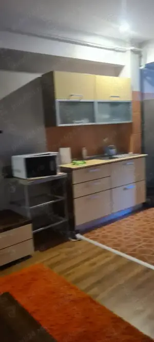 drristor vitan kaufland strada ion mortun