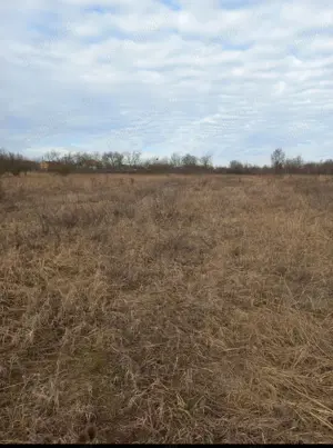 Vând teren intravilan în sat Icloda