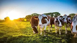 Locuri de muncă la ferme în Germania