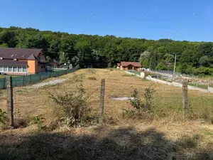 Teren de Vanzare Intravilan - imagine 8