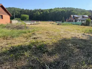 Teren de Vanzare Intravilan - imagine 9